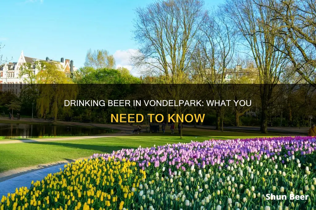 can you drink beer in vondelpark