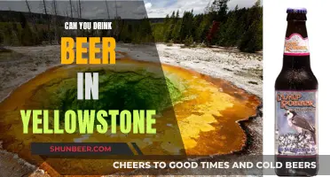 Beer Drinking in Yellowstone: What's Allowed?