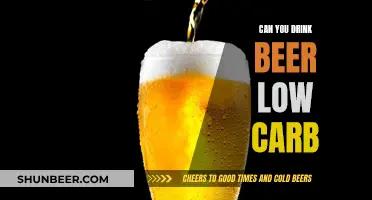 Low-Carb Diet and Beer: Is It Possible?