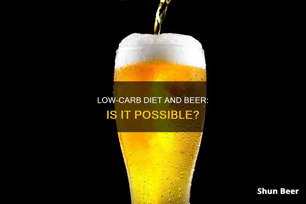 can you drink beer low carb