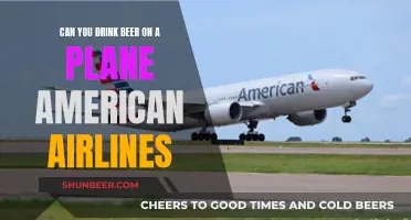 Beer on American Airlines: What's Allowed and What's Not