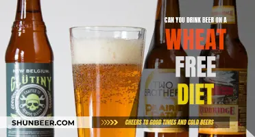 Wheat-Free, Beer-Friendly: Enjoying Beer Without Wheat