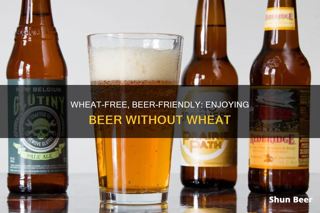 can you drink beer on a wheat free diet