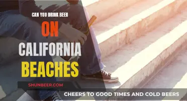 California Beach Beer Drinking: What's Allowed?