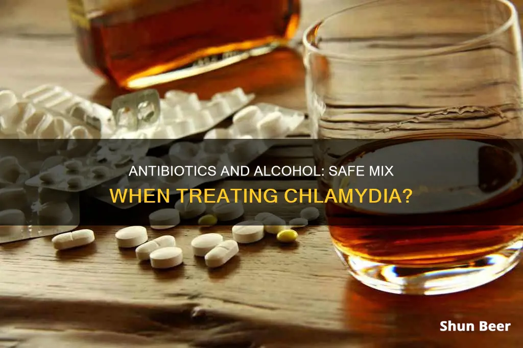 can you drink beer on chlamydia antibiotics