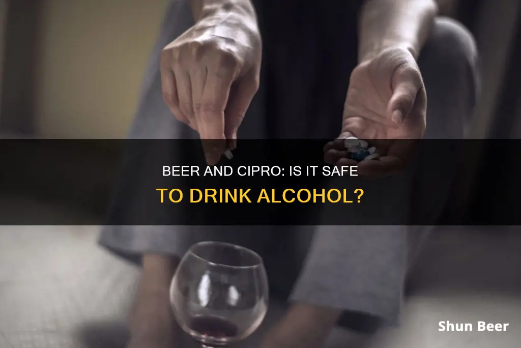 can you drink beer on cipro