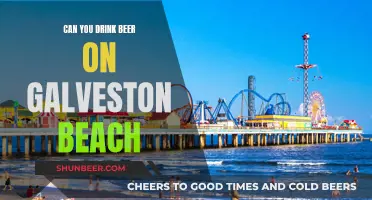 Exploring Galveston Beach: Can You Enjoy Beer There?