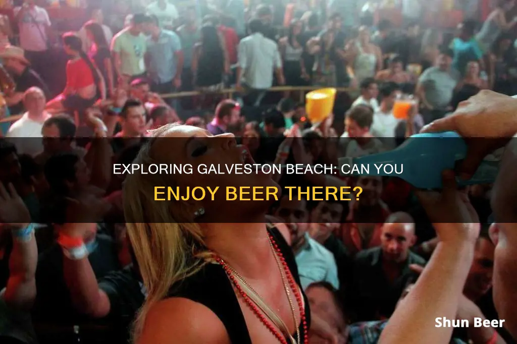 can you drink beer on galveston beach