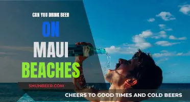 Beer on Maui Beaches: What's Allowed?