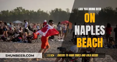 Enjoying Beer on Naples Beach: What You Need to Know