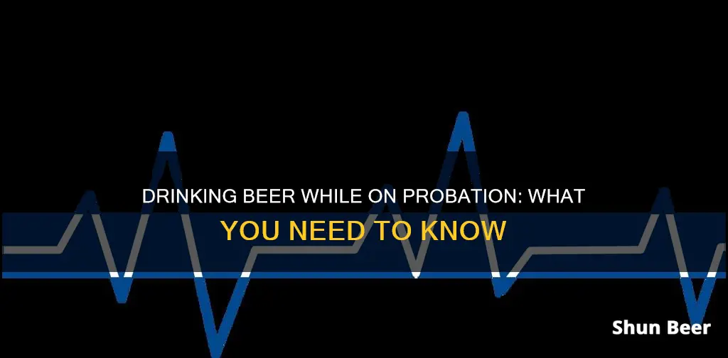 can you drink beer on probation