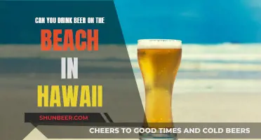 Hawaii's Beach Beer Rules: What You Need to Know