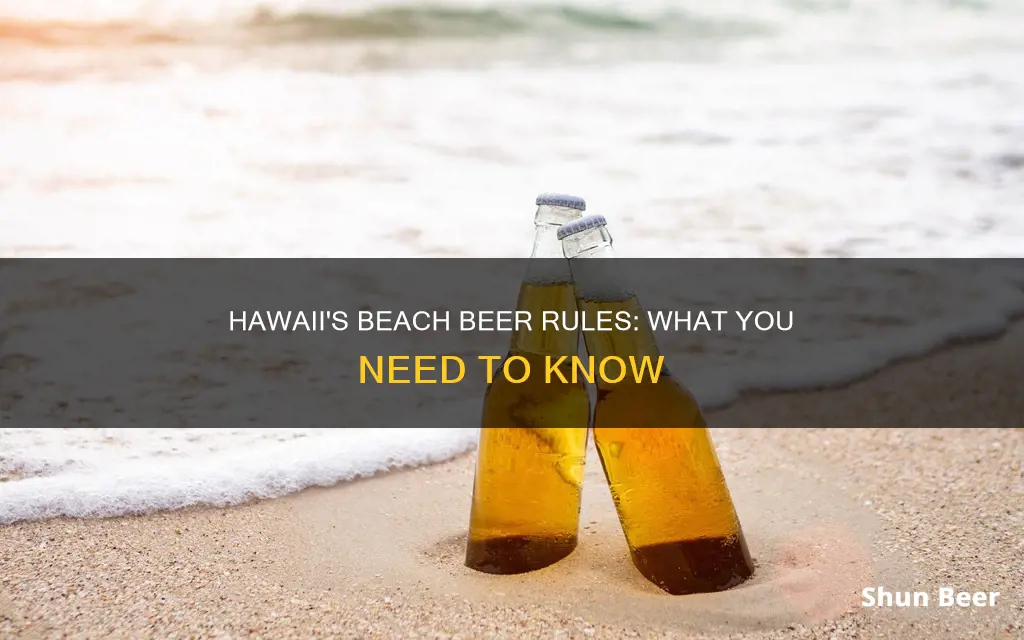 can you drink beer on the beach in hawaii