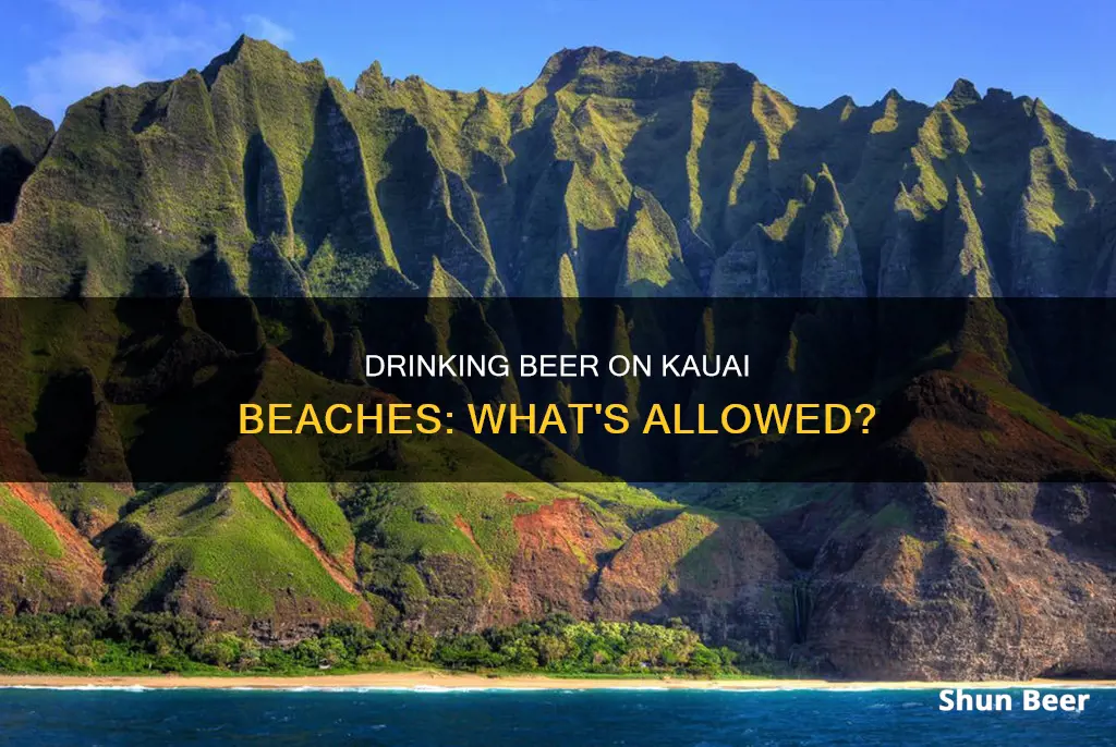 can you drink beer on the beach in kauai