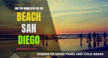 Drinking Beer on San Diego Beaches: What's Allowed?