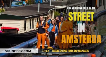 Amsterdam's Street Drinking Culture: Beer in Hand?