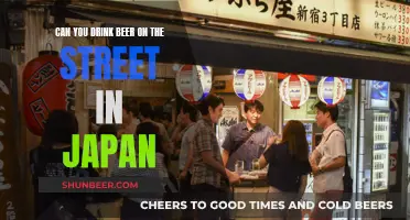 Drinking Beer in Public: Japan's Unique Street Culture