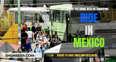 Beer on Transport in Mexico: What's Allowed?