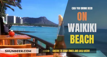 Waikiki Beach Beer Rules: What You Need to Know