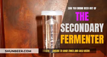 Secondary Fermenter Beer: Safe to Drink?