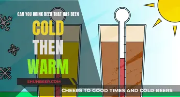 Beer Temperature: Cold, Warm, and Safe to Drink?