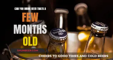 Beer Expiry: Can You Drink Old Beer?