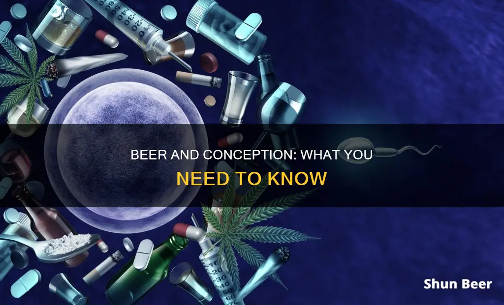 can you drink beer when trying to conceive