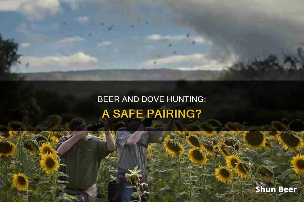 can you drink beer while dove hunting