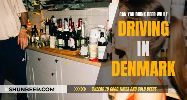 Drinking Beer While Driving in Denmark: What's the Law?