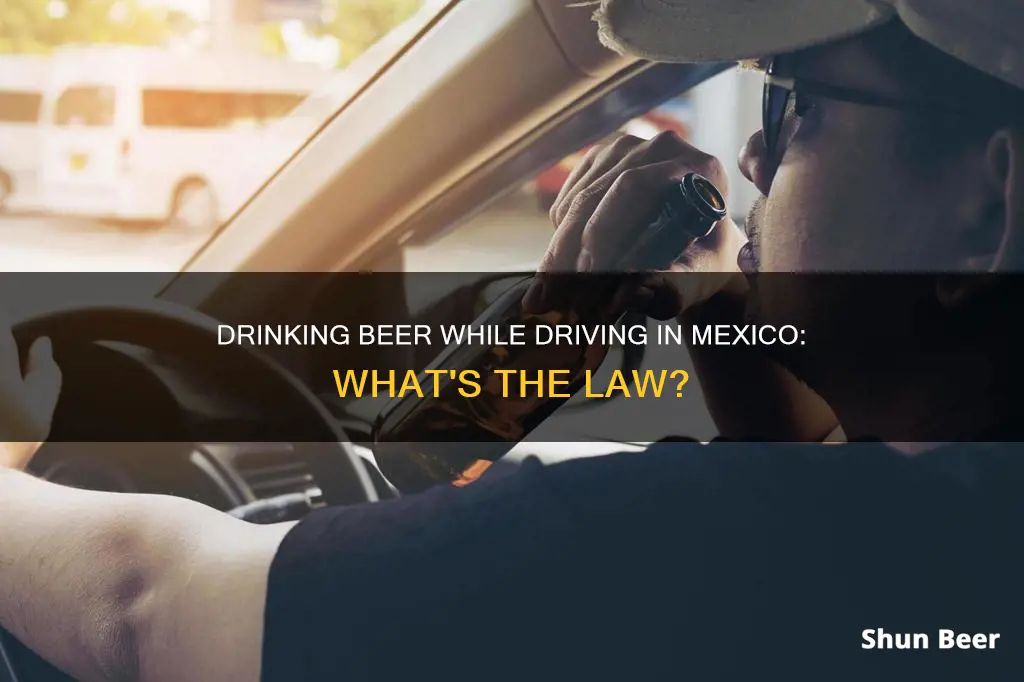 can you drink beer while driving in mexico