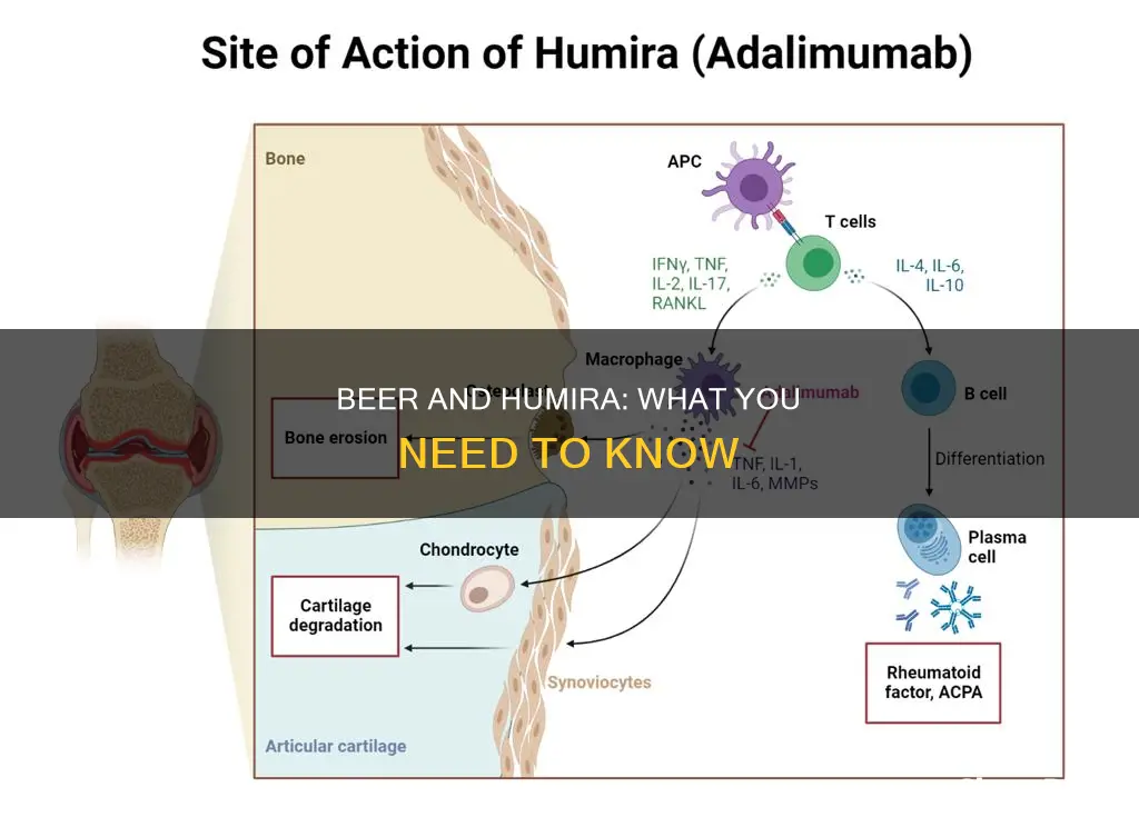 can you drink beer while on humira