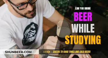 Beer and Studying: A Productive Mix?