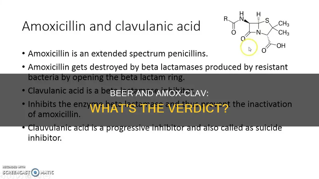 can you drink beer while taking amox-clav