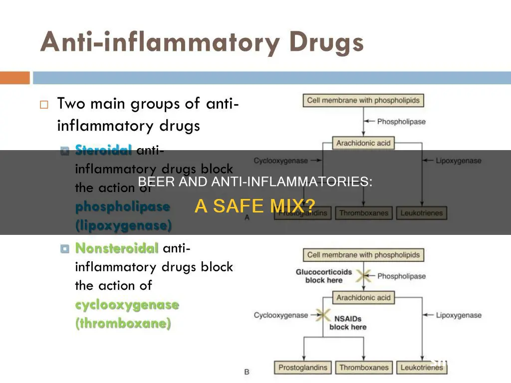 can you drink beer while taking anti inflammatory drugs