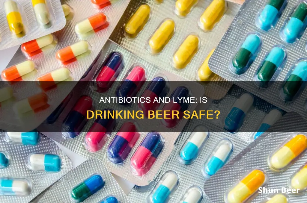 can you drink beer while taking antibiotics for lyme desease