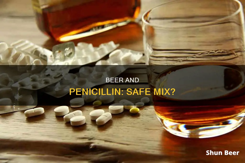 can you drink beer while taking penicillin