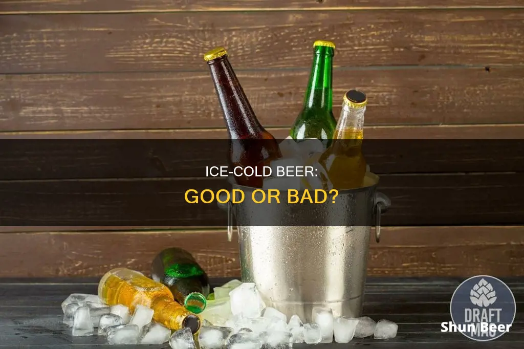 can you drink beer with ice