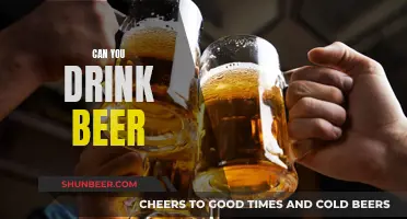 Beer Drinking: What You Need to Know