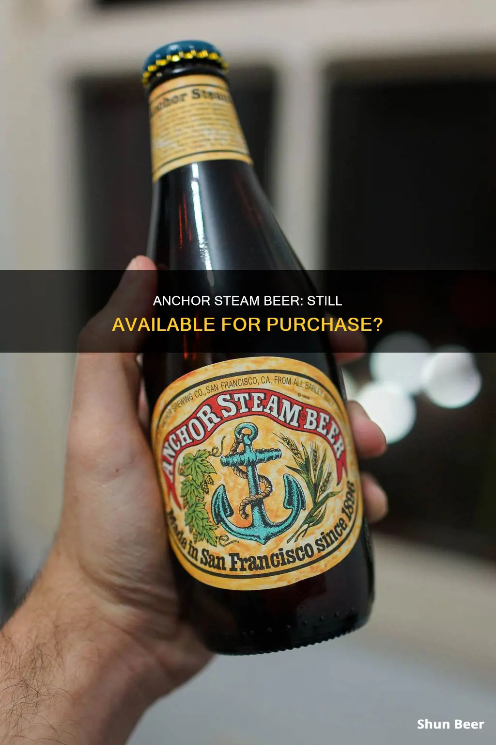 can you still buy anchor steam beer