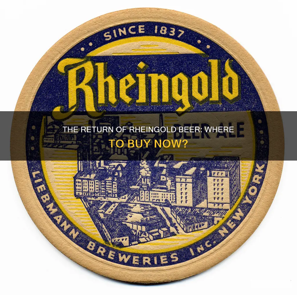 can you still buy rheingold beer