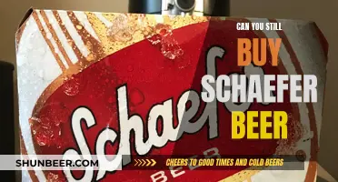 Where to Buy Schaefer Beer: Availability and Purchase Options