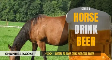 Horse Drinking Beer: What's the Harm?