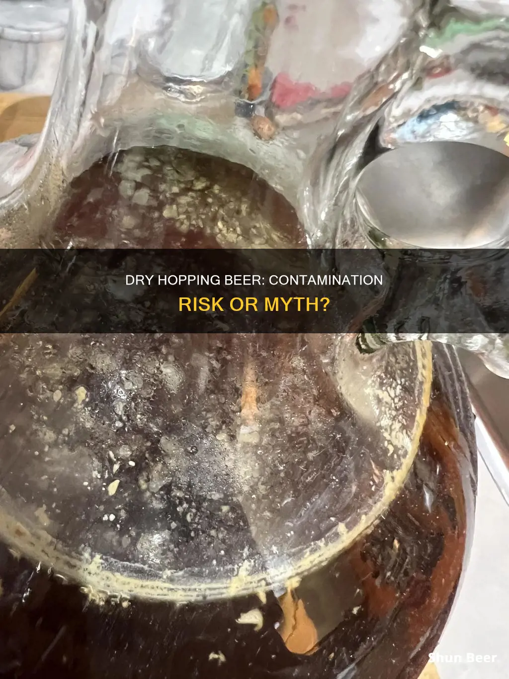 could dry hopping contaminate beer