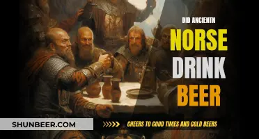 Exploring Ancient Norse Culture: Beer and Beyond