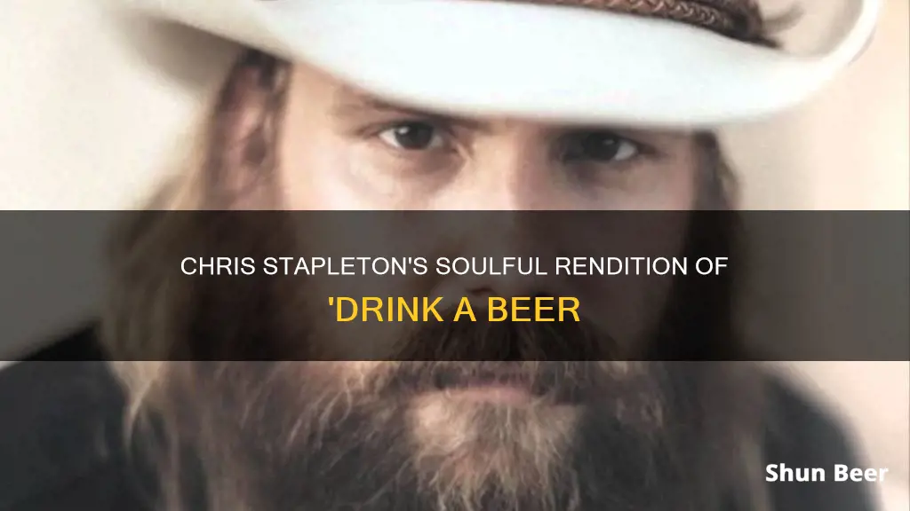 did chris stapleton sing in drink a beer