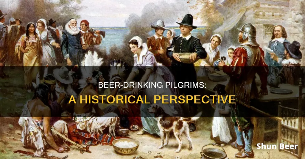 did pilgrims drink beer