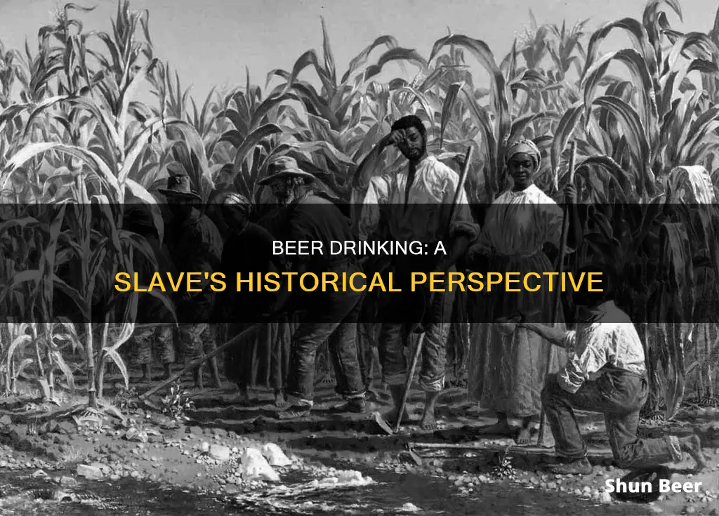 did slaves get to drink beer