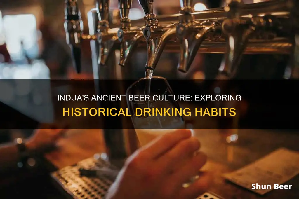 did the indua people drink beer