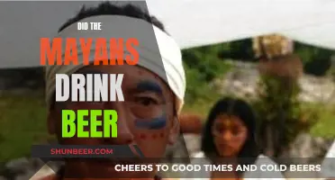 The Mayans' Ancient Beer Drinking Culture Explored