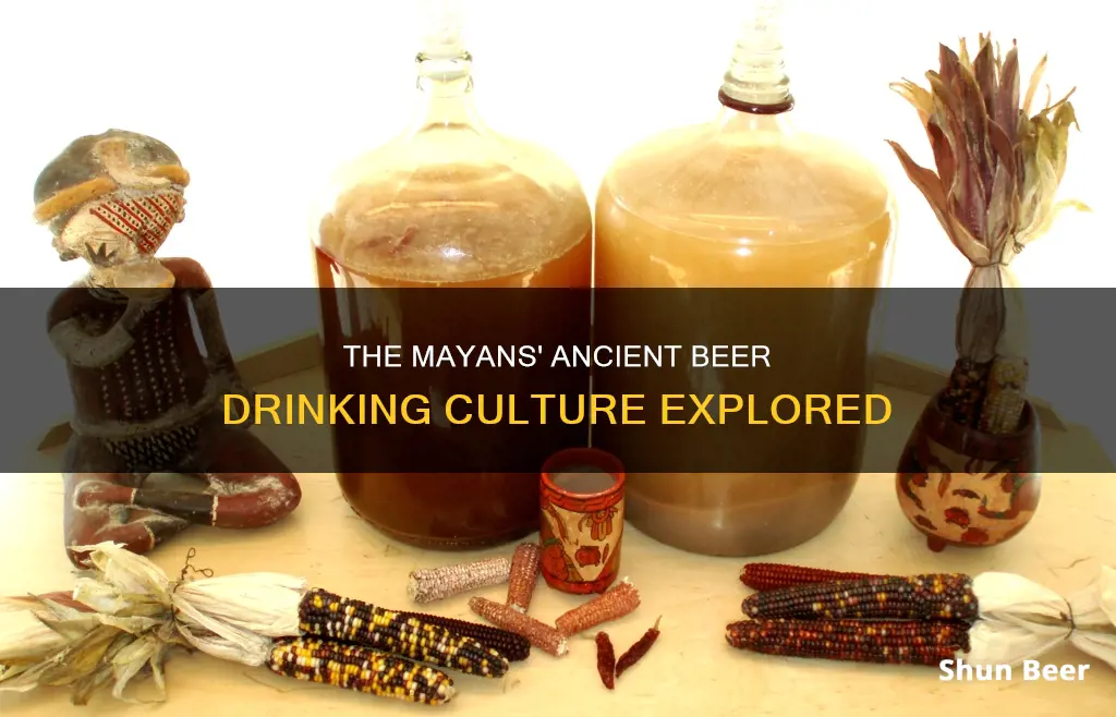 did the mayans drink beer